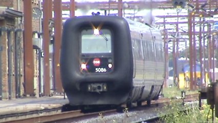 Grenzbahnhof Padborg 1x IC3 Gumminase,12 Lokachsen in Doppeltraktion,3x Green Cargo Baureihe EG 3100