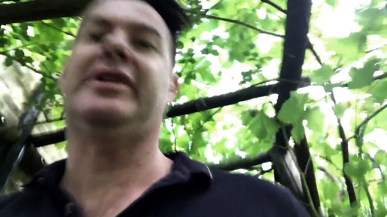 PARANORMAL FARM 2 Official Trailer (2018) Horror - YouTube