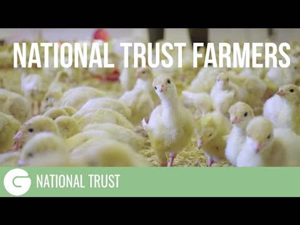 Local, seasonal, sustainable food | National Trust