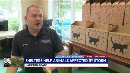 Télécharger la video: Virginia Animal Shelter Takes in Pets Affected by Florence