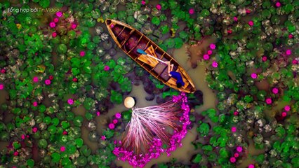 Mùa thu "đớp thính đứ đừ" tại những điểm được giới trẻ rủ nhau "check - in rần rần"