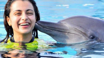 Actress Trisha Playing With Dolphin In Dubai Vacation