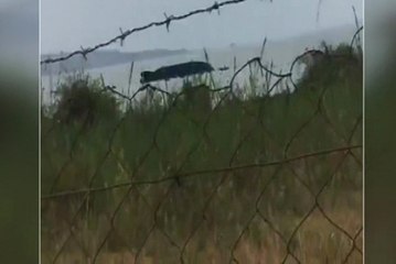 Tanzanya'da Feribot Alabora Oldu: 44 Ölü, 200 Kayıp