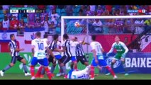 Bahia vs Botafogo RJ  Highlights 2-1