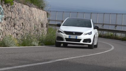 Peugeot 308 SW i Cock