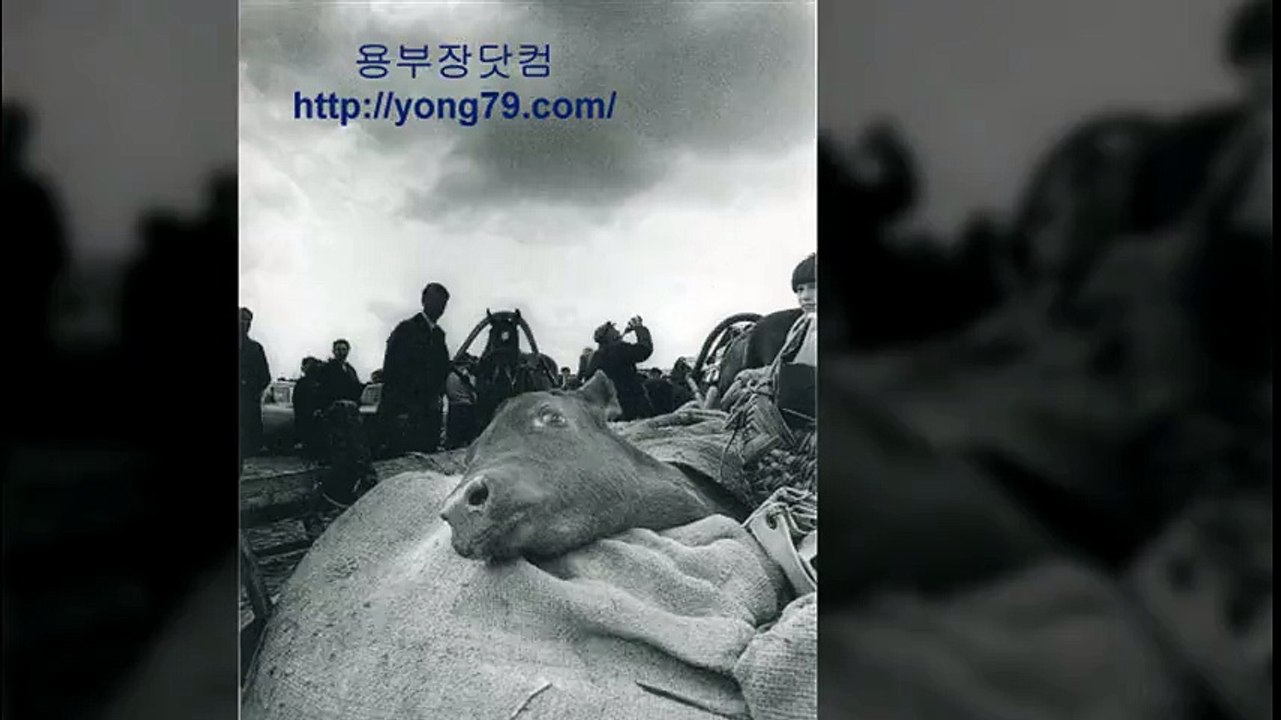 스포츠토토  ◆yong79.com 카지노사이트 yong79.com◆ 토토총판