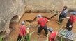 Ces ouvriers découvrent un énorme anaconda dans une canalisation