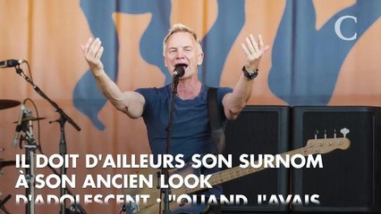 PHOTOS. Sting, 66 ans, a toujours un corps de rêve : la preuve en images