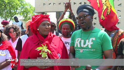 Justicia de Sudáfrica legaliza el consumo privado de cannabis
