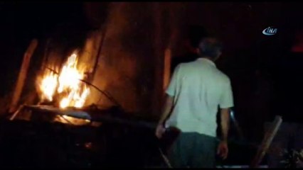 Alanya'da elektrik tellerinin üzerine devrilen çam ağaçları yangına sebep oldu