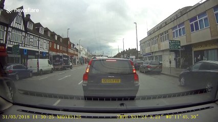 Sheep subtly hitches a lift in car boot