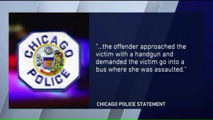 Woman Sexually Assaulted on Charter Bus in Chicago, Police Say
