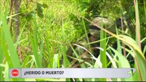 Alias Guacho huye estando herido hacia los límites con el Ecuador