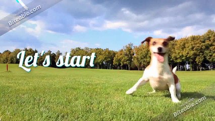 Luyện tập ki trong aikido