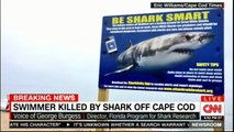 Swimmer killed by shark off cape COD. #Massachusetts #CNN #News