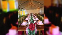 Chair rentals for parties | shoretents.events | Phone 7273082138