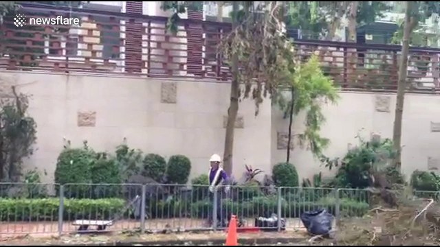 Workers in Hong Kong clear tree debris post-Typhoon Mangkhut