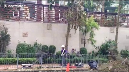 Workers in Hong Kong clear tree debris post-Typhoon Mangkhut