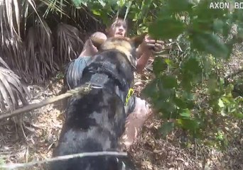 Very Good Boy: Police Dog Takes Down Kidnapping Suspect in Florida