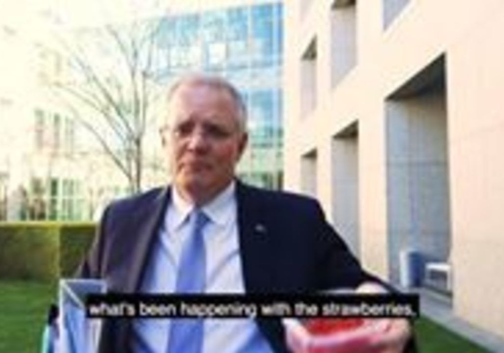 Prime Minister Calls Strawberry Contamination Culprit an 'Idiot'