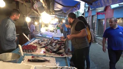 Trabzon Karadeniz'de Palamut Bolluğu Hd