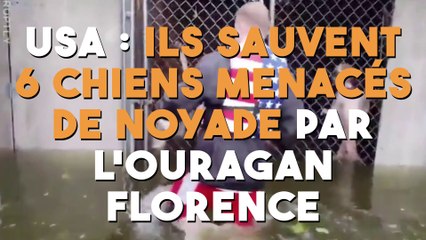 USA : ils sauvent 6 chiens menacés de noyade par l'ouragan Florence !
