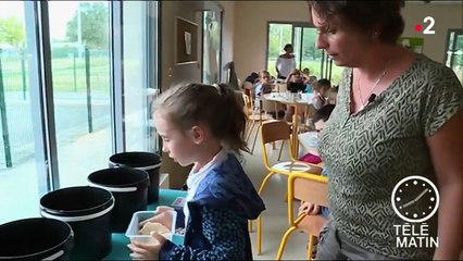 Tarn : Lavaur lutte contre le gaspillage alimentaire à la cantine