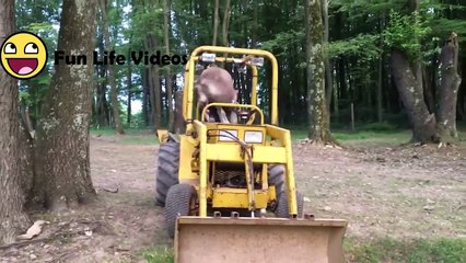 Funniest Pets & Animals of the Week Compilation September 2018 - Funny Pet Videos