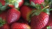 Australia cracks down after needles found in strawberries