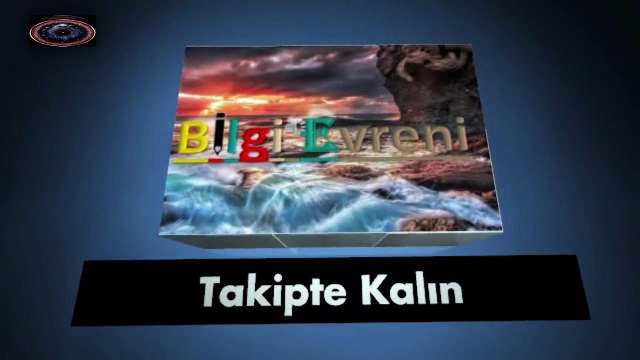 yerin 240 metre altındaki canlılar, gözlerinize inanamayacaksınız