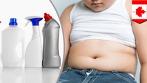 Household disinfectants could be linked to child obesity