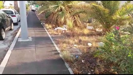 Basura, vertidos sin control y abandono: la realidad del Polígono Industrial Valle de Güímar
