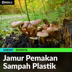 #1MENIT | Jamur Pemakan Sampah Plastik