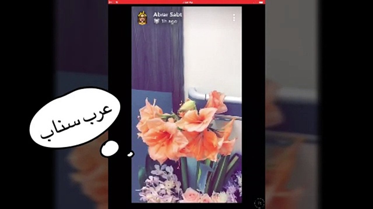 بالفيديو أبرار سبت تكشف السبب الحقيقي وراء مرض شقيقتها شذى سبت