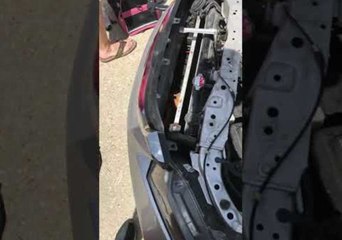 Woman Finds Feline Surprise in Grille of Car