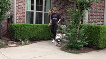 Dog Boarding and Walking Service in Oklahoma