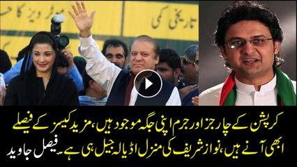 Adiala prison is the destination of Nawaz, family; Faisal Javed