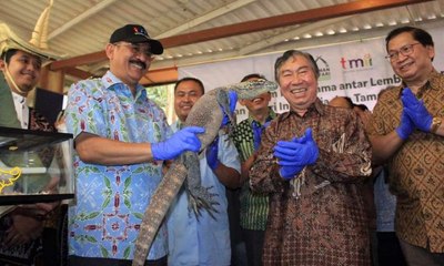 Taman Safari Indonesia Hibahkan Sepasang Komodo ke TMII