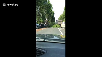 Tree knocked down by strong winds crushes car in Dublin