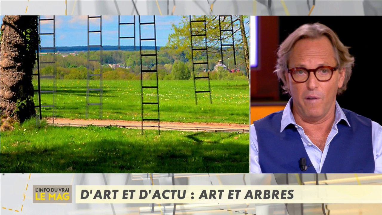 D'art et d'actu : Art et arbres - L'info du vrai du 18/09 - CANAL+