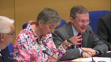 Devant les sénateurs, Alexandre Benalla a voulu être précis, vraiment "très précis"