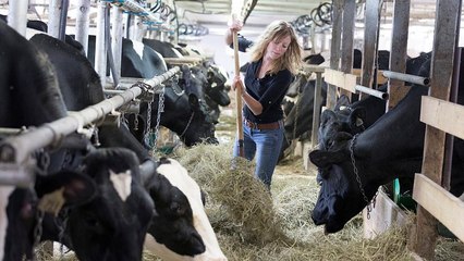 "Fair-Food"-Referendum: Schweizer streiten ums Essen