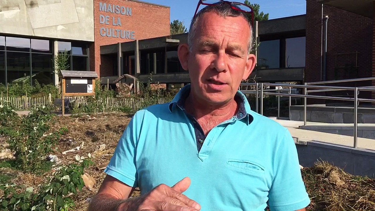 Marche: les jardins du centre culturel labourés par des sangliers