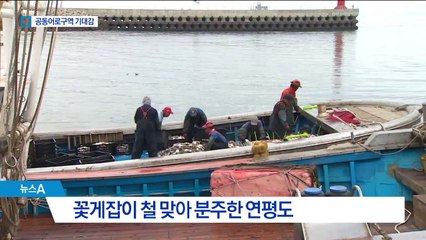 꽃게잡이 한창 연평도, ‘공동어로구역’ 기대감