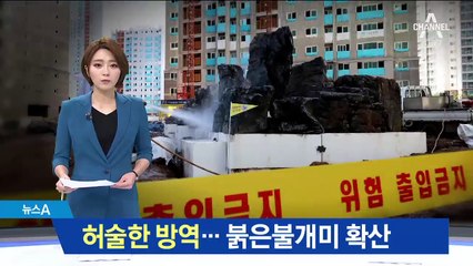 석재에 섞여 유입된 붉은불개미…허술한 방역망