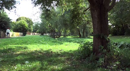 NEWS: September 19th 2018