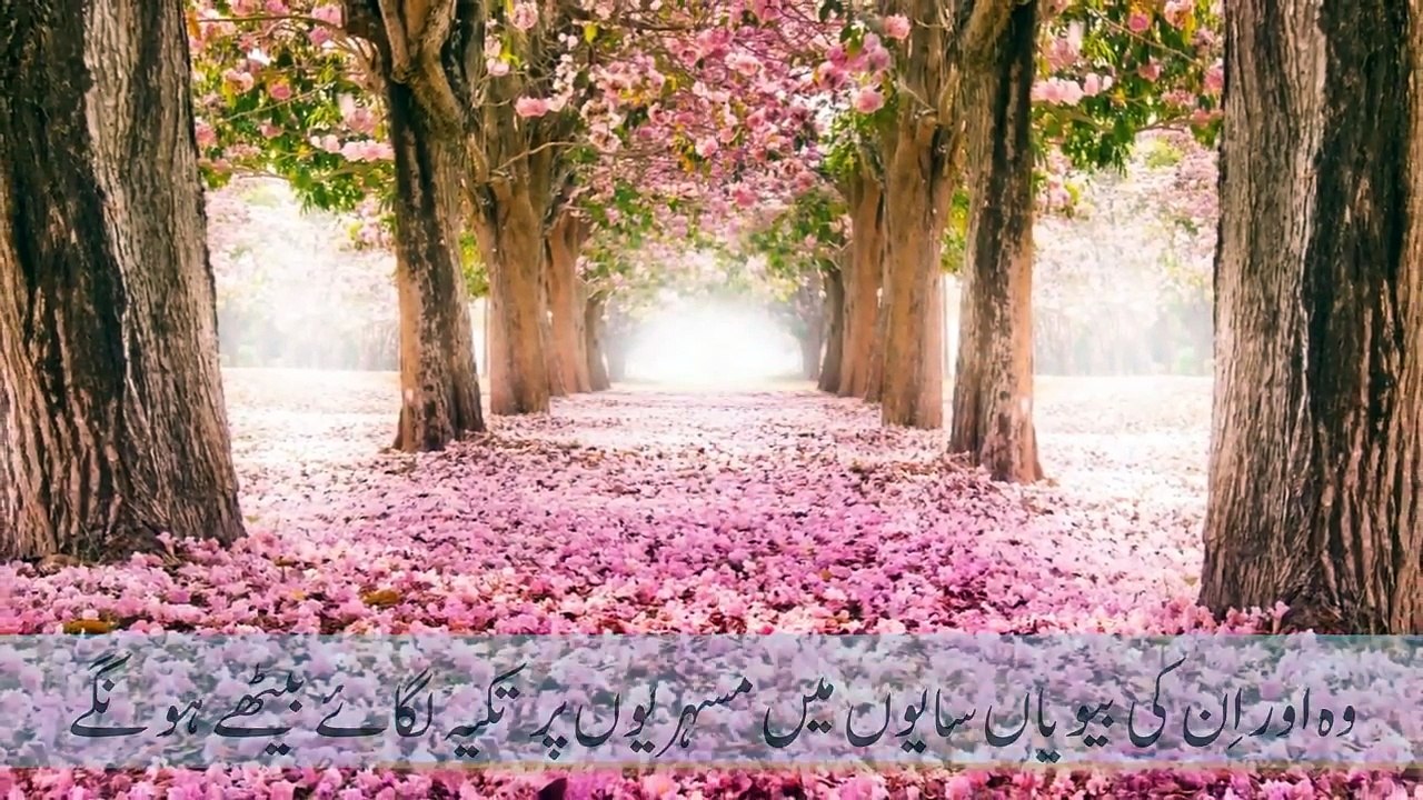 SURAH YASEEN VERY BEAUTIFUL HEART TOUCHING RECITATION