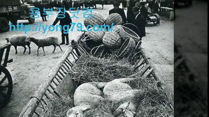 우리카지노  ▶yong79.com 안전놀이터 yong79.com▶ 스포츠토토