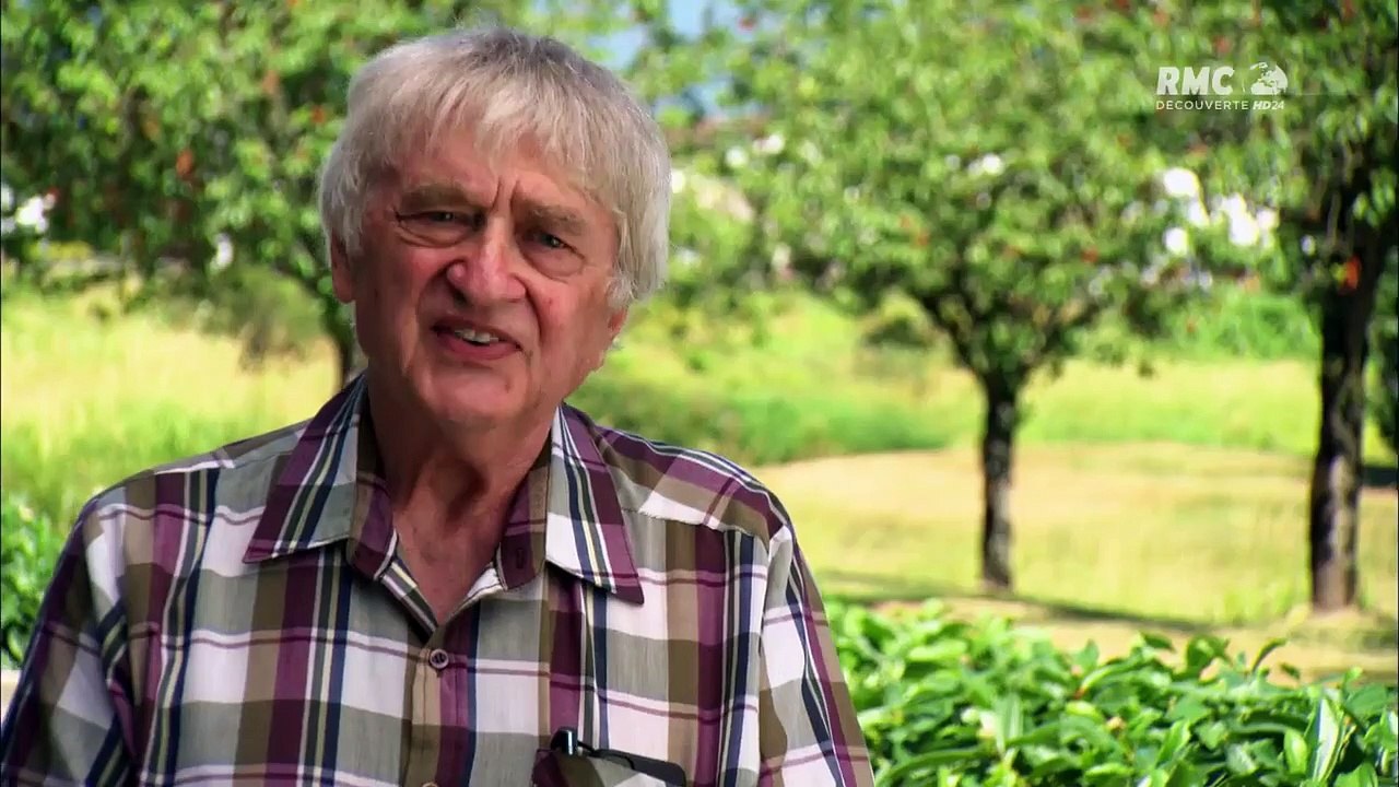 Le liquidateur - Moto antique