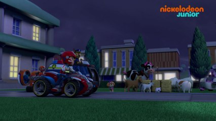 Paw Patrol : la Pat'Patrouille | La ferme en folie | NICKELODEON JUNIOR